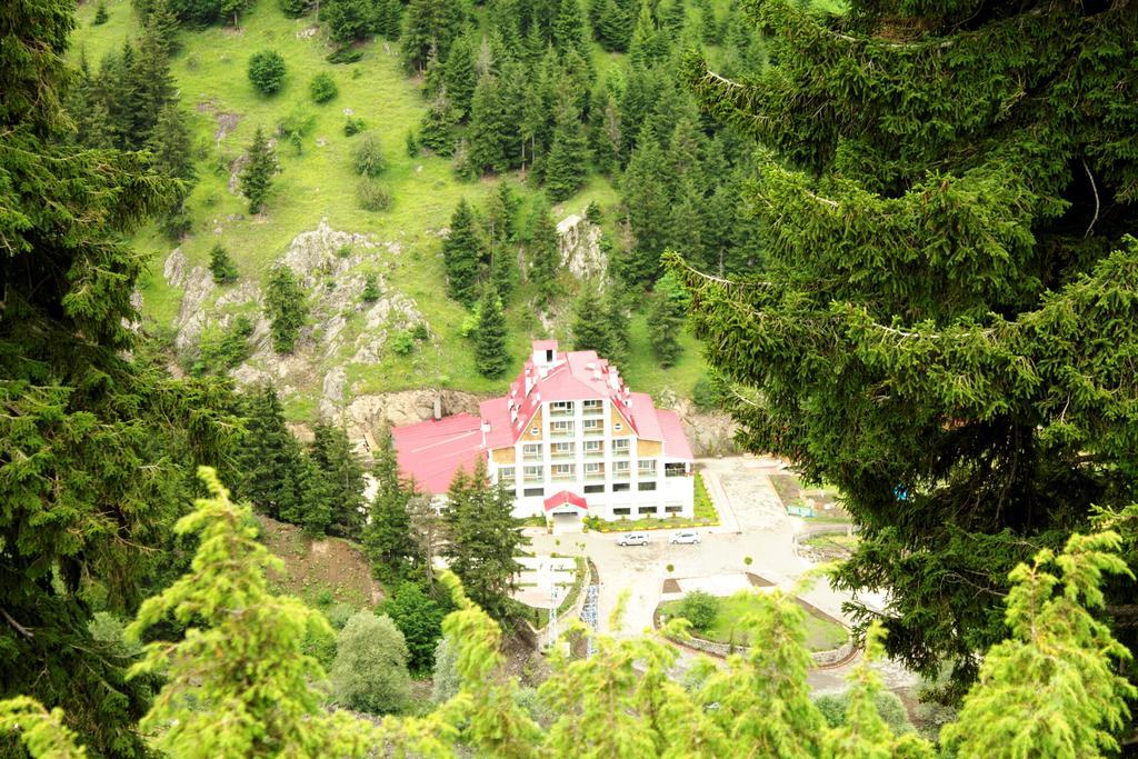 Hotel Green Valley Savsat Exterior foto