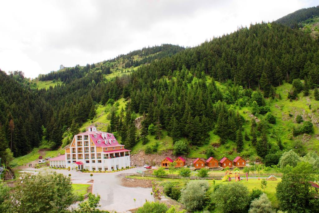 Hotel Green Valley Savsat Exterior foto