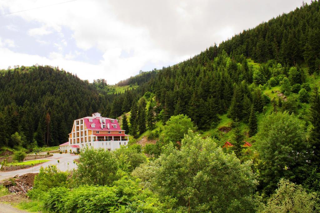 Hotel Green Valley Savsat Exterior foto